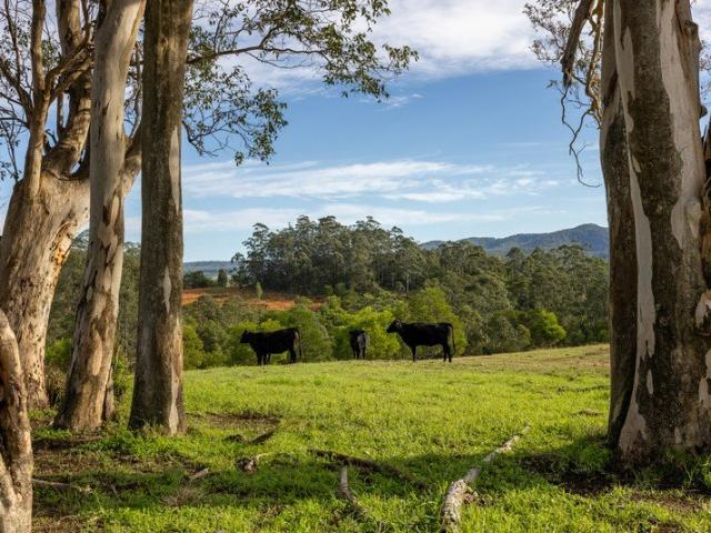 Acreage for sale in Topi Topi, New South Wales