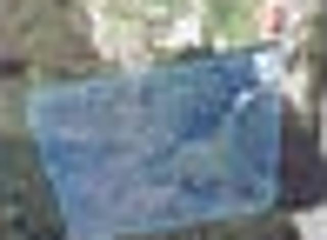 Land for sale in Waikawau, Waikato