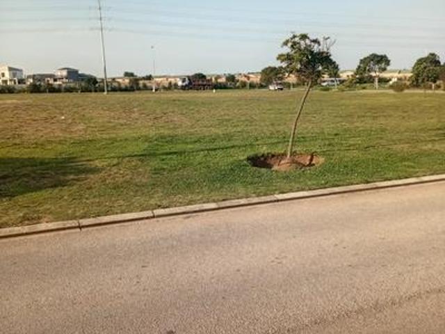 Commercial for sale in Cape St Francis, Eastern Cape