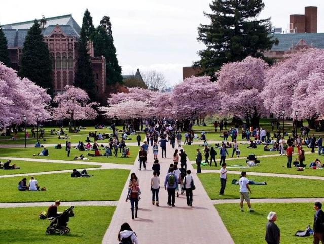 Apartment for rent in Seattle, Washington