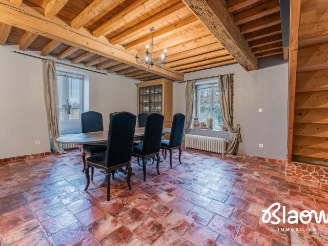 Maison vente à Lyon, Métropole de Lyon