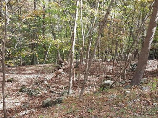 Land for sale in Dingmans Ferry, Pennsylvania