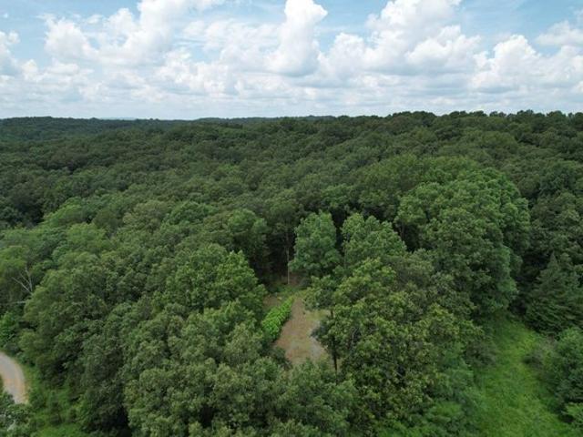 Land for sale in Cave In Rock, Illinois