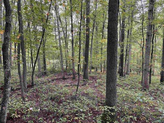 Land for sale in Masontown, West Virginia