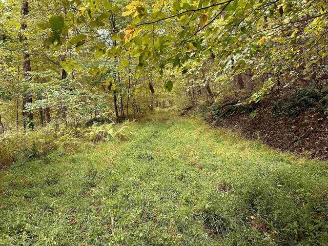 Land for sale in Masontown, West Virginia