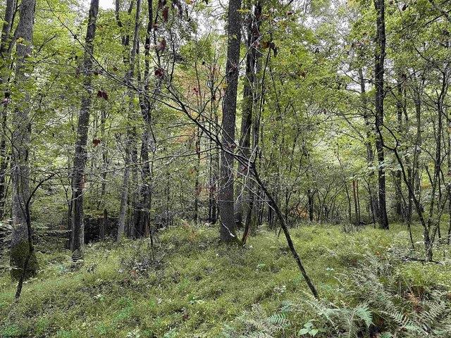 Land for sale in Masontown, West Virginia
