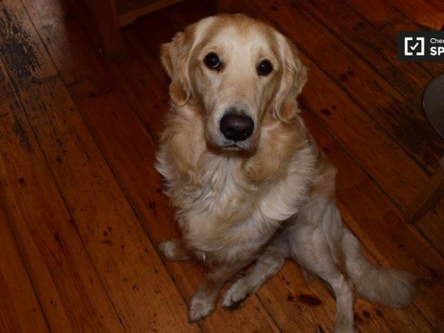 Room to rent in Dundrum, North Tipperary