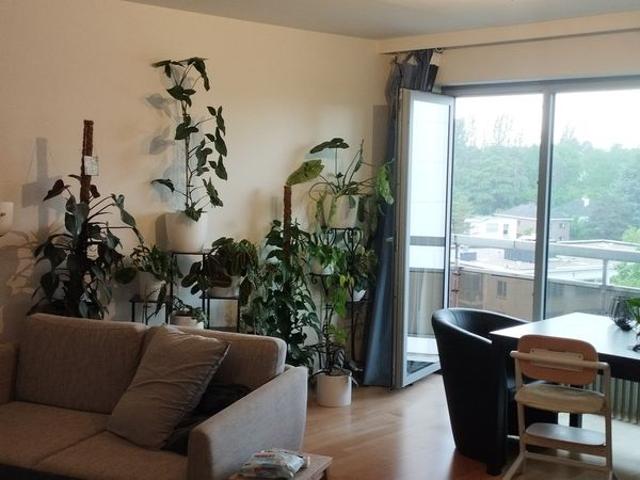 Appartement location à Lava, Brabant