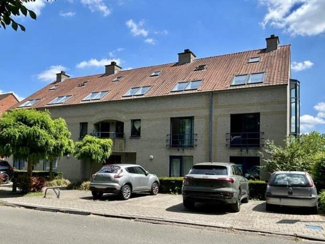 Kot location à Lava, Brabant