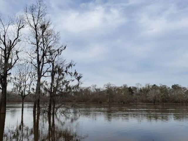 Land for sale in Baxley, Appling County