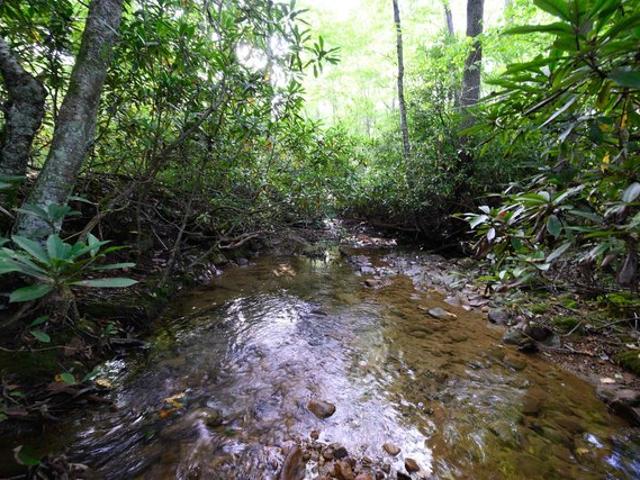 Farm for sale in Kingwood, West Virginia