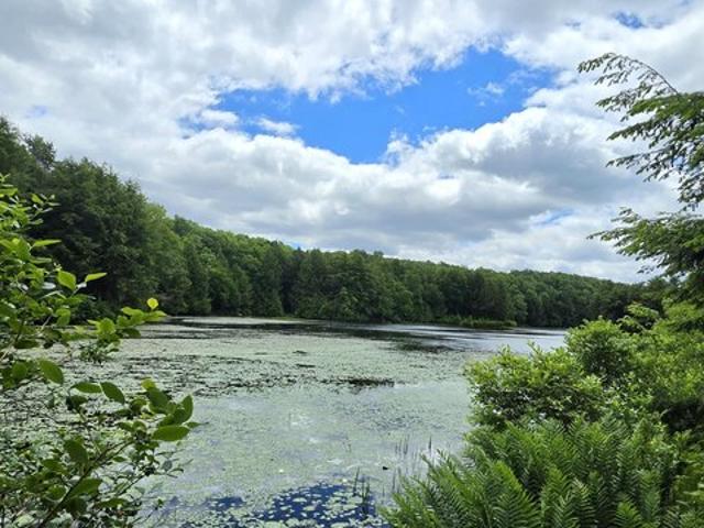Land for sale in Sullivan, Pennsylvania