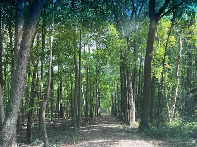 Land for sale in Maryland