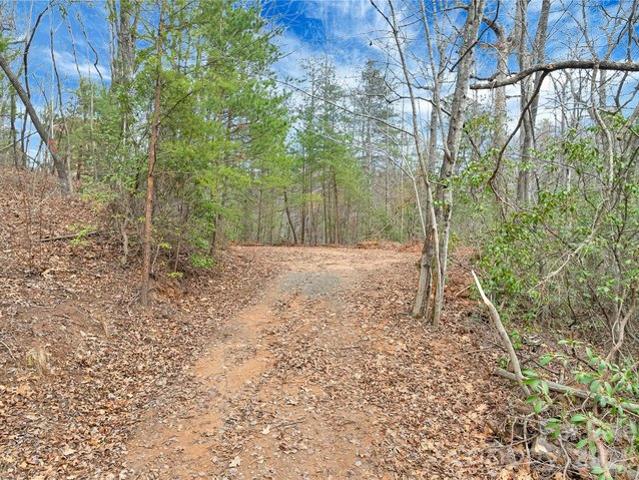 Land for sale in Saluda, North Carolina