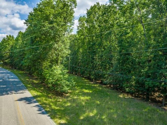 Land for sale in Tennessee