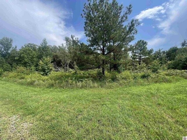 Land for sale in Murray