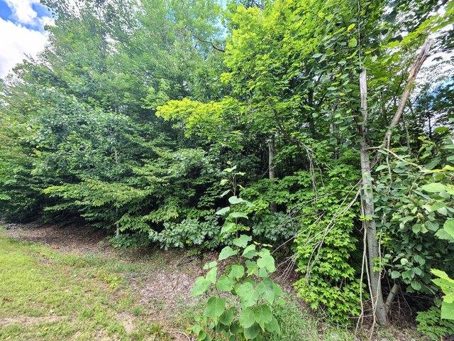 Land for sale in Gaylord, Michigan