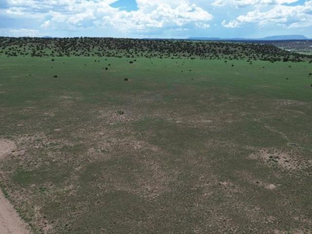 Land for sale in Catron, New Mexico