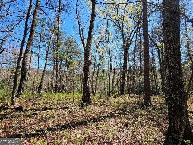 Land for sale in Blue Ridge