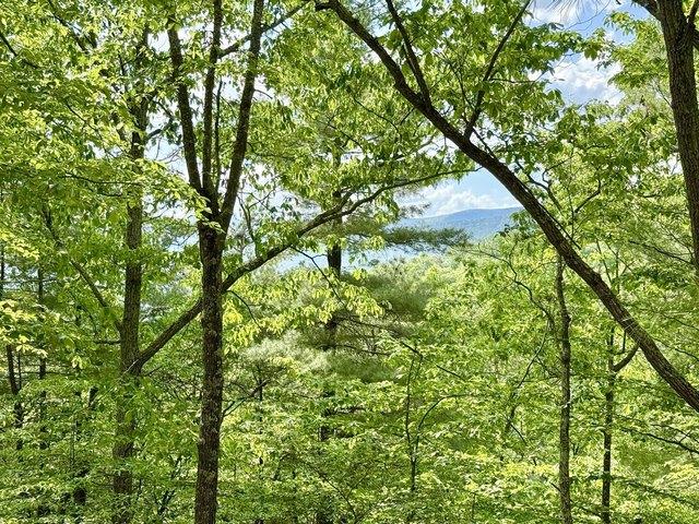 Land for sale in Franklin, West Virginia