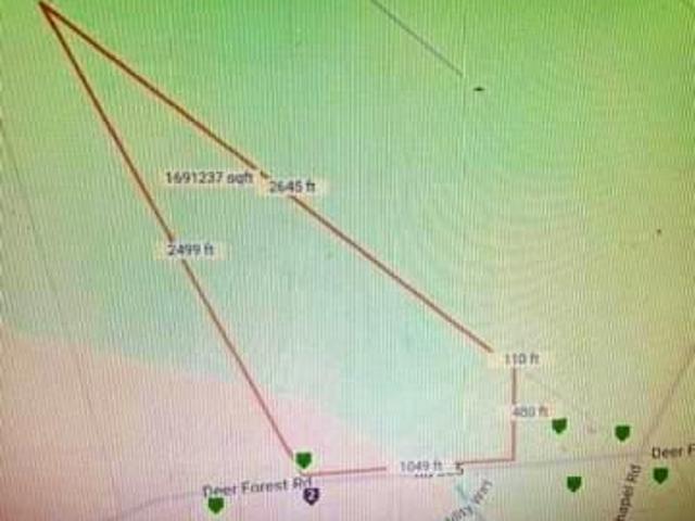 Land for sale in Bridgeville, Sussex County
