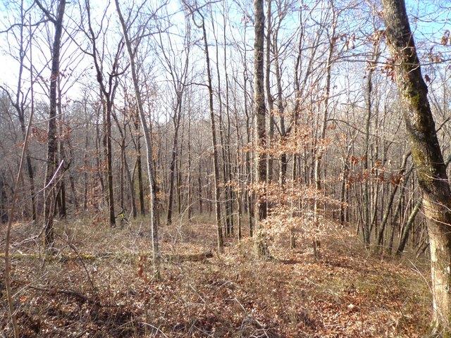 Land for sale in Tennessee