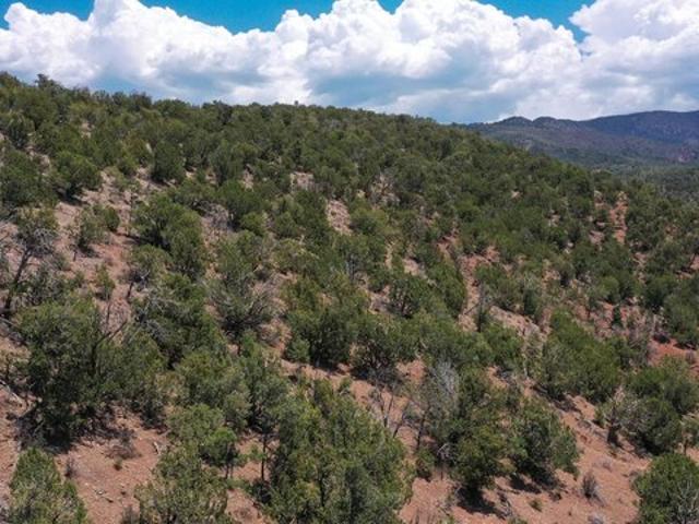 Land for sale in High Rolls Mountain Park, New Mexico