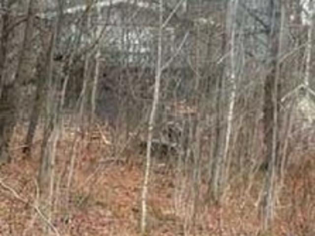 House for sale in Whitingham, Vermont