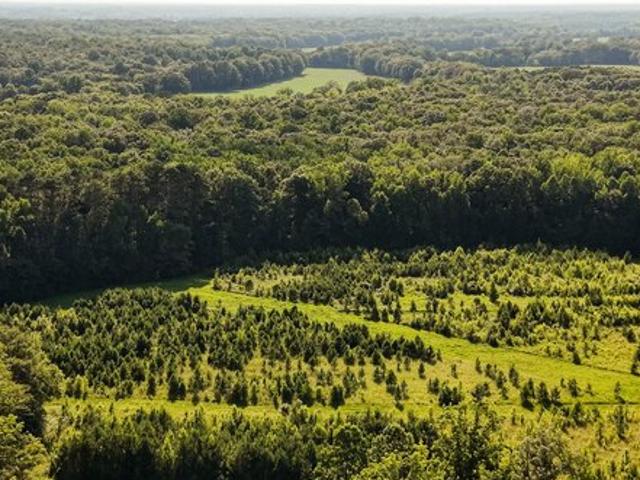 Land for sale in Nettleton, Mississippi