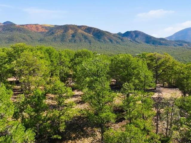 Land for sale in New Mexico