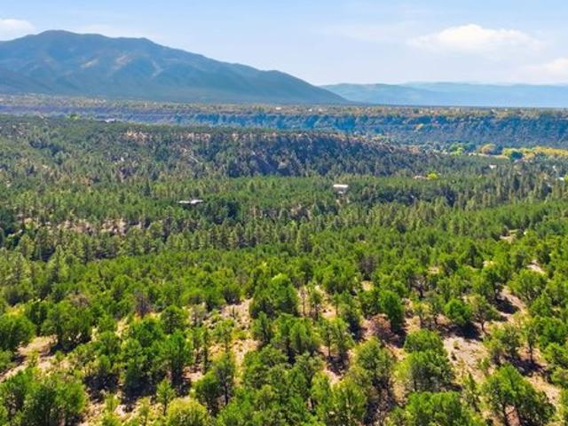 Land for sale in New Mexico