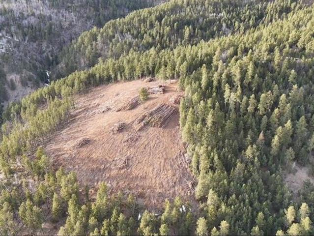 Land for sale in Lead, South Dakota