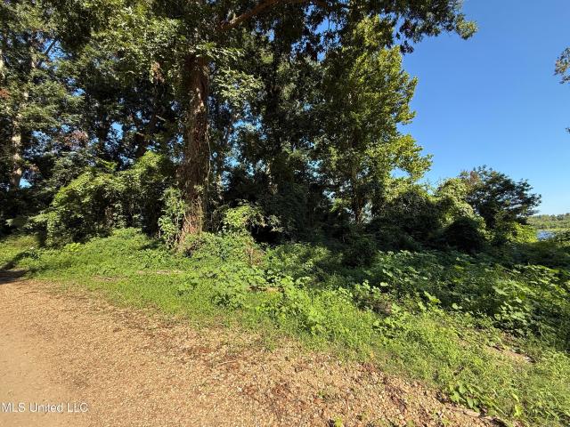 Land for sale in Deer Park, Vidalia