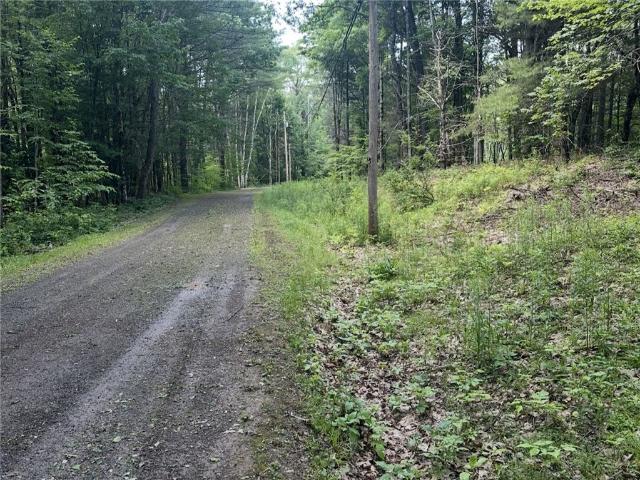 Land for sale in Jefferson, New York