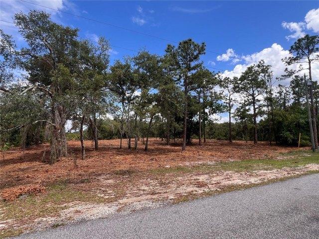 Land for sale in Babson Park, Florida
