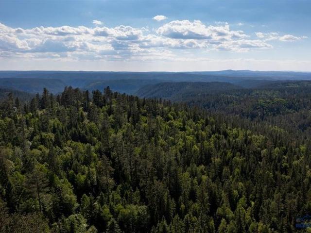 Land for sale in Lead, South Dakota