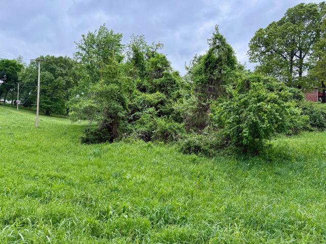 Land for sale in Neosho, Missouri