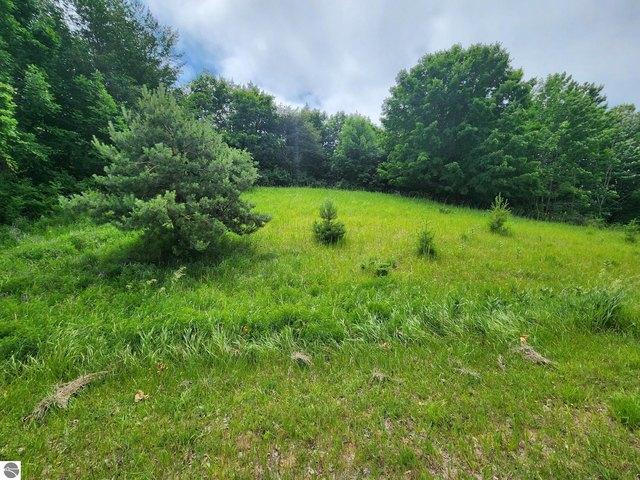 Land for sale in Beulah, Michigan