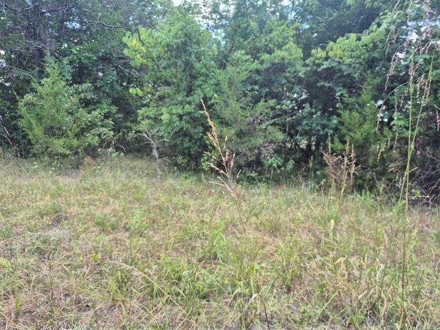 Land for sale in Protem, Missouri