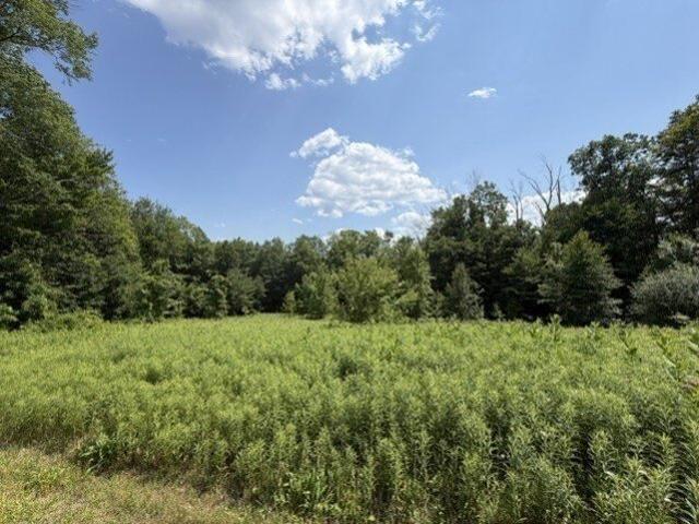 Land for sale in Berkshire, Massachusetts