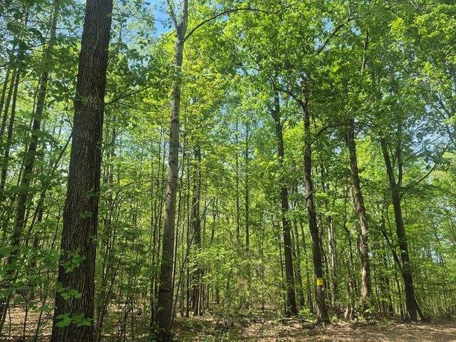 Land for sale in Virginia