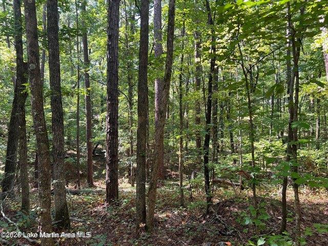 Land for sale in Dadeville, Tallapoosa County