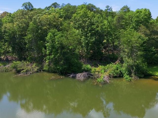 Land for sale in Clarkesville, Georgia