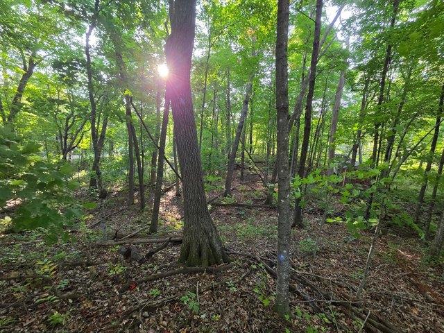 Land for sale in Garrison, Minnesota