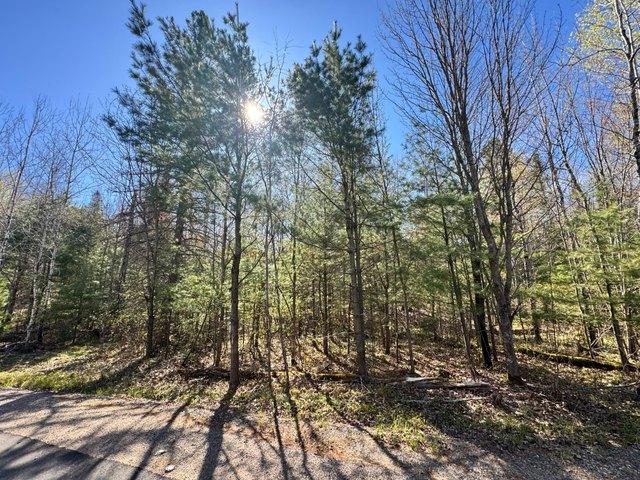 Land for sale in Vilas, Wisconsin