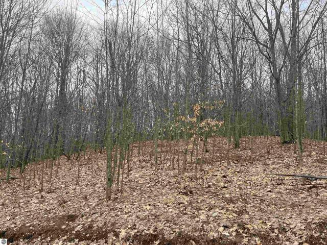 Land for sale in Michigan