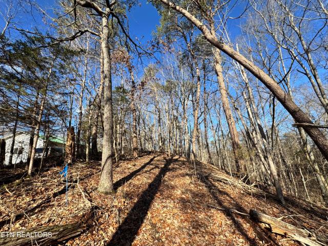 Land for sale in Tennessee