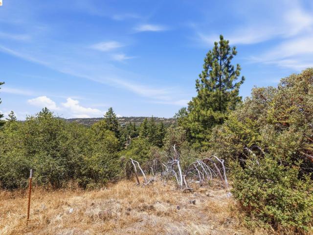 Land for sale in Tuolumne, California