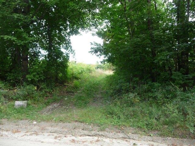 Land for sale in Deering, Hillsborough County