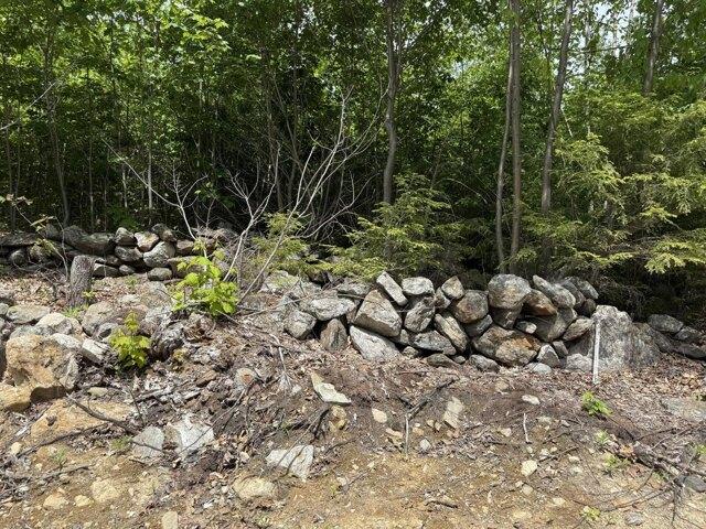 Land for sale in Shapleigh, Maine